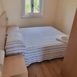 Διαμέρισμα Marasusa Floreal Parghelia