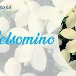 Marasusa Floreal Διαμέρισμα Parghelia