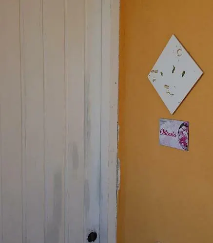 Marasusa Floreal * 帕尔盖利亚